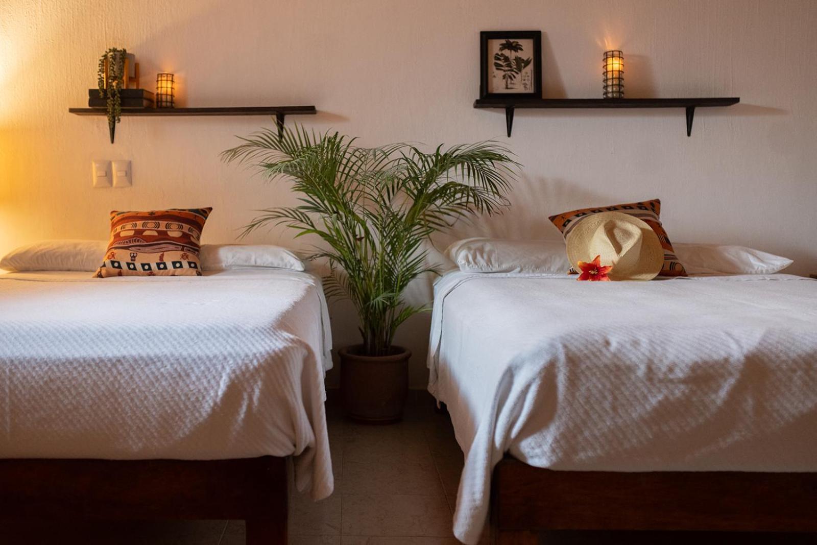 Casa Botanica Hotel Ло де Маркос Екстериор снимка