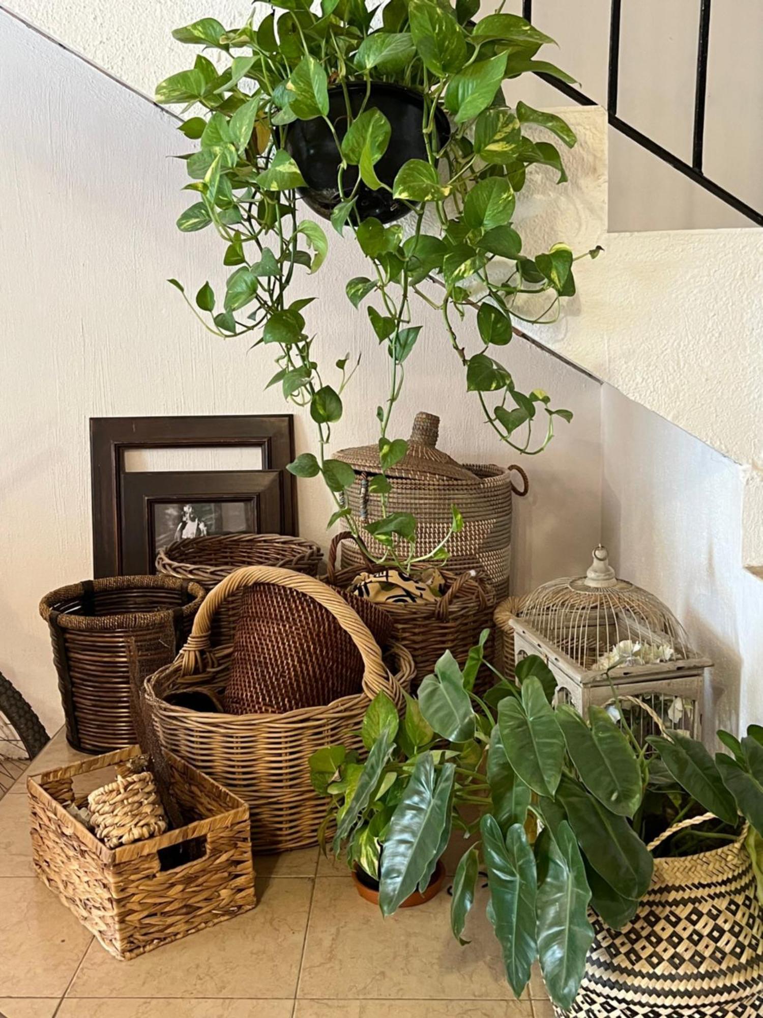 Casa Botanica Hotel Ло де Маркос Екстериор снимка