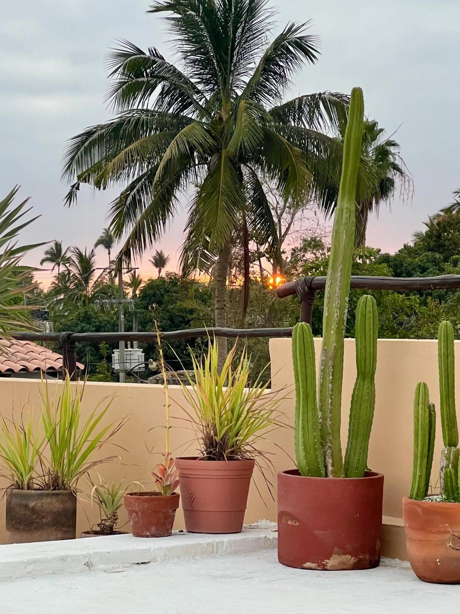 Casa Botanica Hotel Ло де Маркос Екстериор снимка