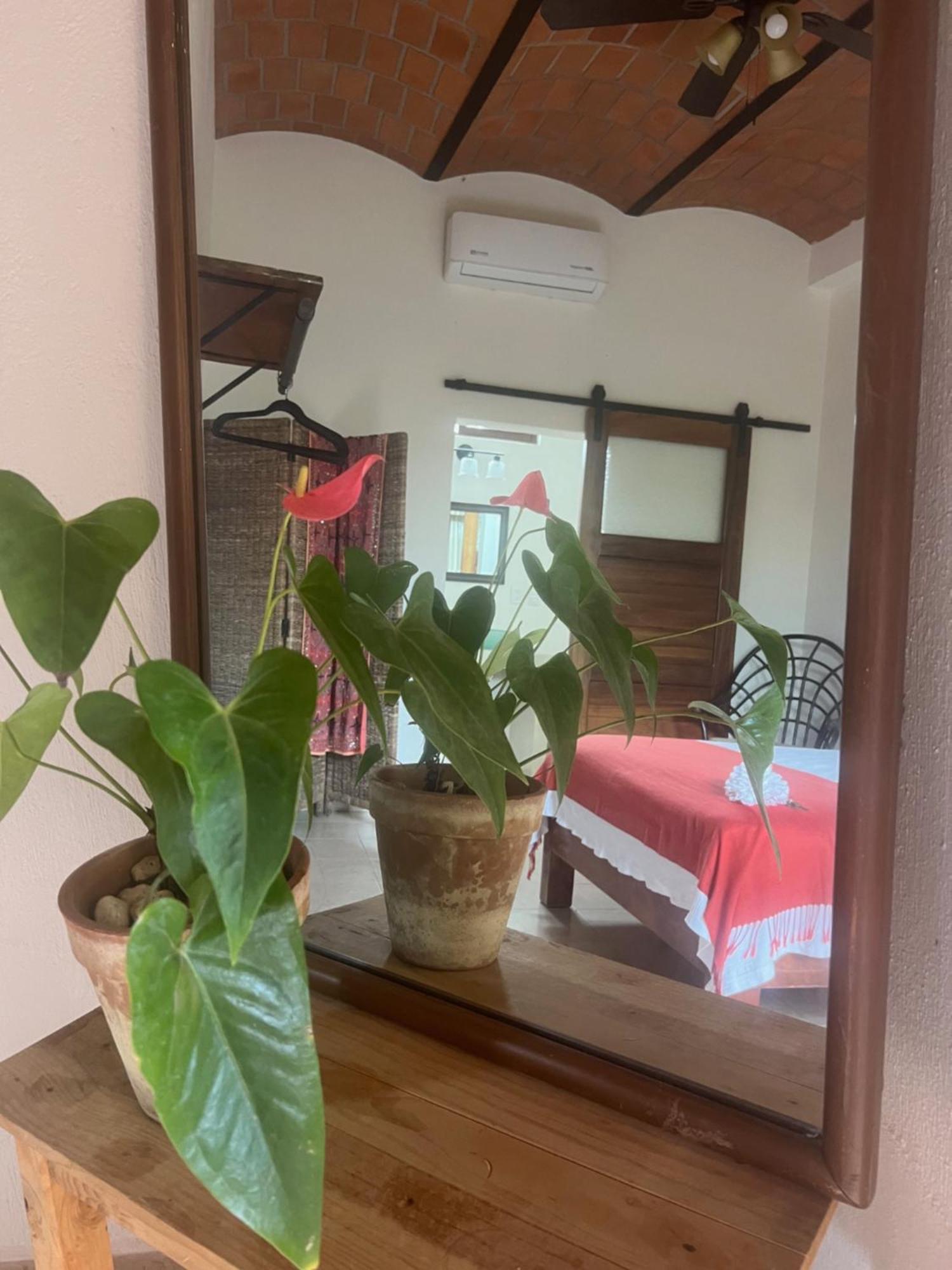 Casa Botanica Hotel Ло де Маркос Екстериор снимка
