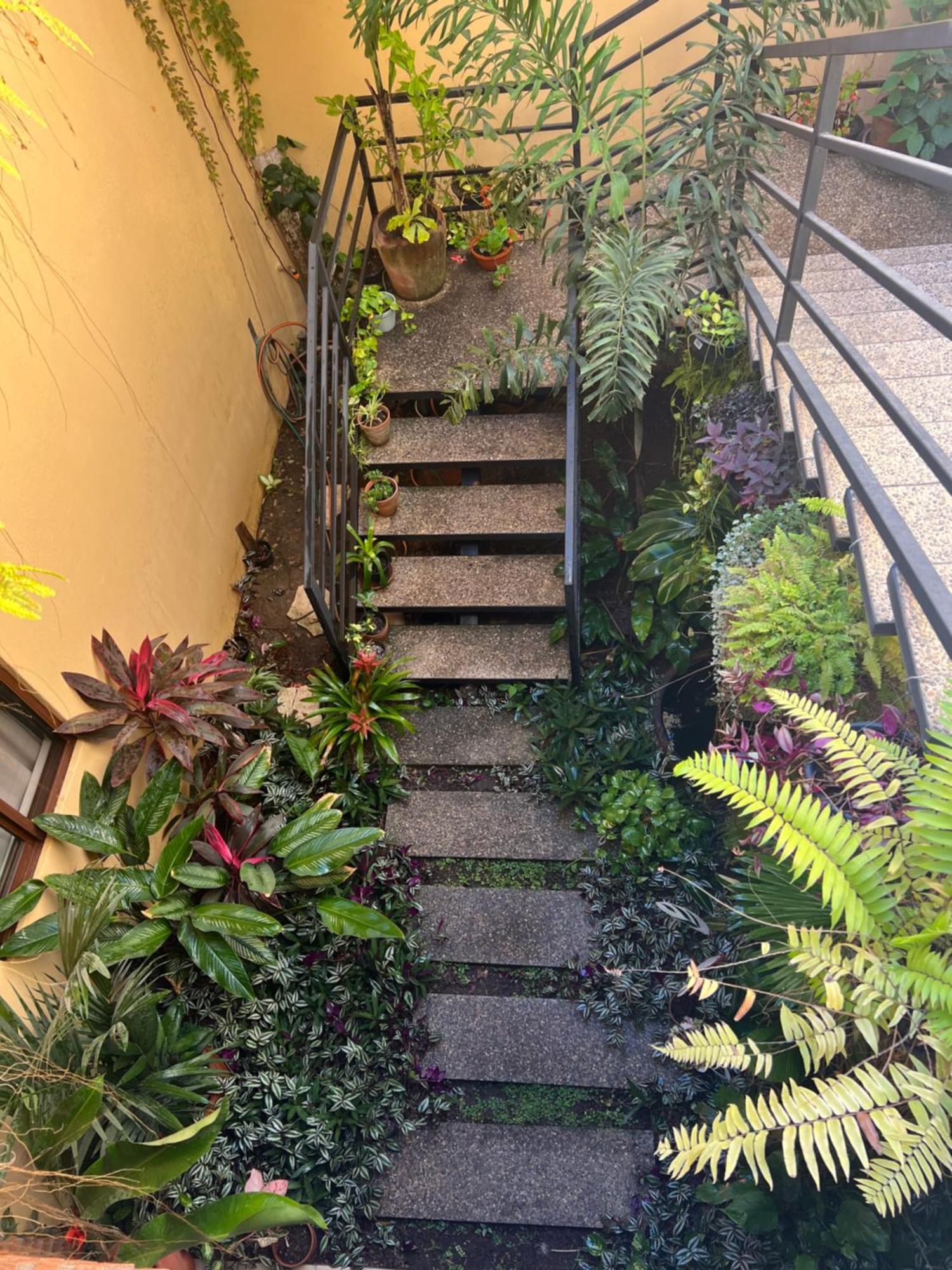 Casa Botanica Hotel Ло де Маркос Екстериор снимка